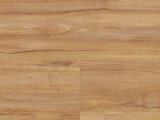 Wineo DLC00081 Клен Honey Warm