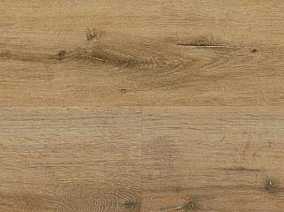 Wineo DLC00128 Дуб Liberation Timeless